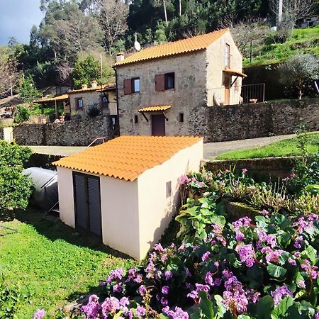 Villa Quinta Da Costeira Sever do Vouga Exterior foto