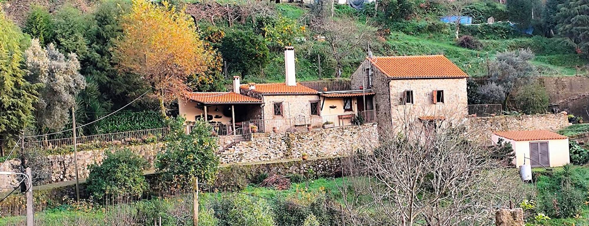 Villa Quinta Da Costeira Sever do Vouga Exterior foto